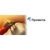 Сахарная свекла Промета